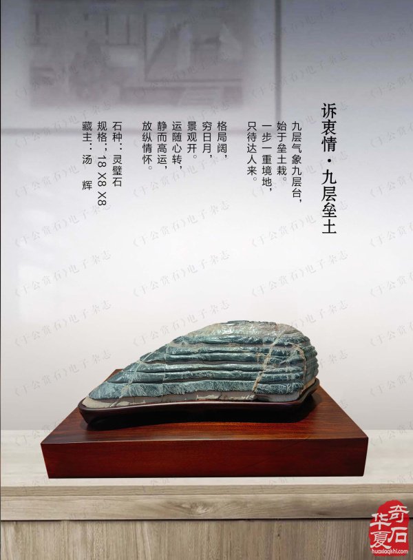 上《于公赏石》看女子会长朱流勄奇石作品