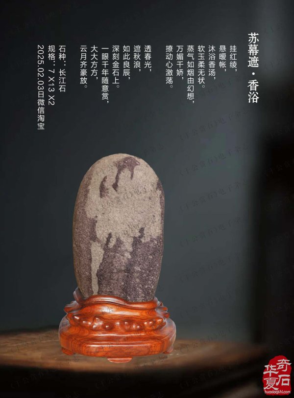 上《于公赏石》看女子会长朱流勄奇石作品