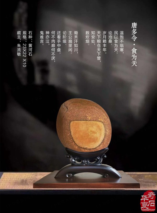 上《于公赏石》看女子会长朱流勄奇石作品