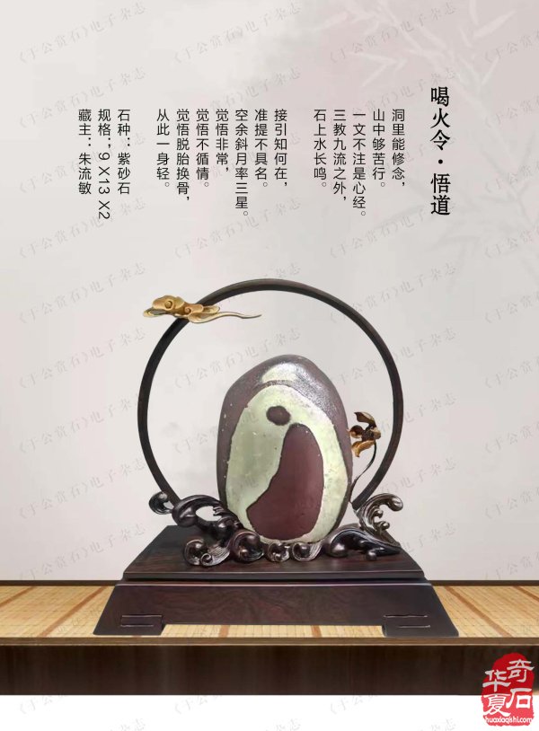 上《于公赏石》看女子会长朱流勄奇石作品