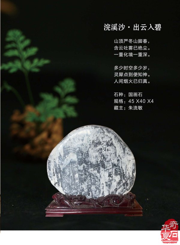 上《于公赏石》看女子会长朱流勄奇石作品