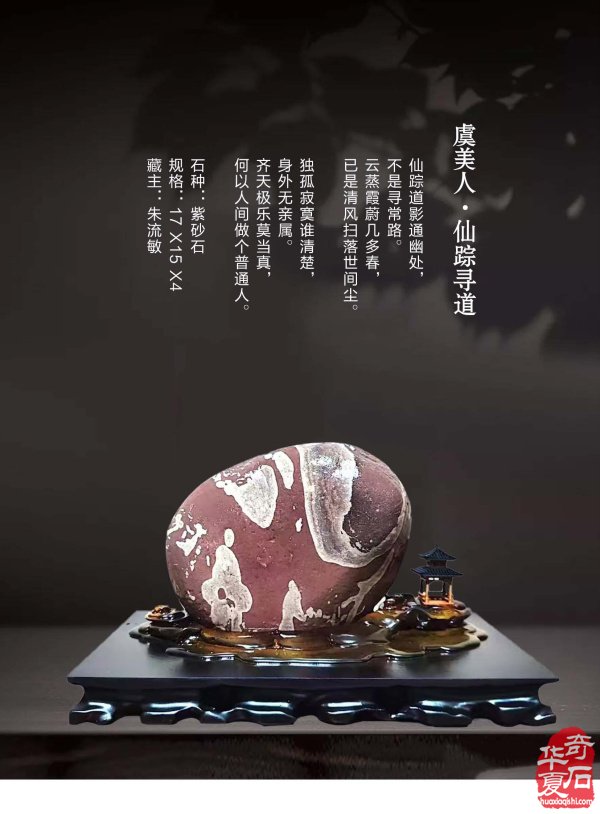 上《于公赏石》看女子会长朱流勄奇石作品