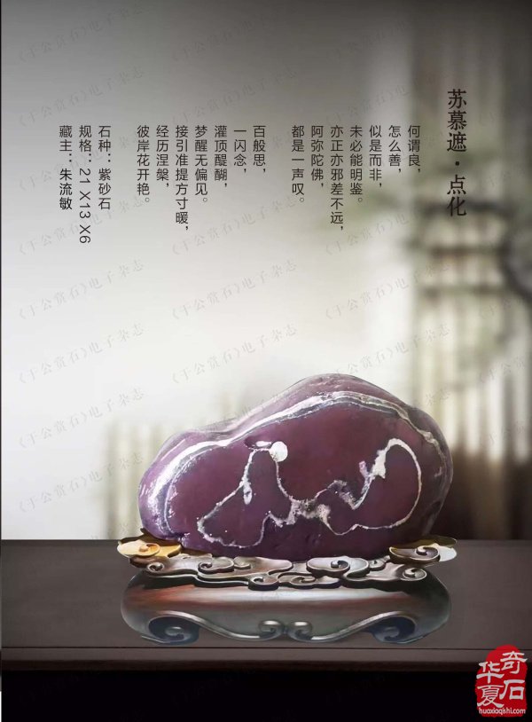 上《于公赏石》看女子会长朱流勄奇石作品