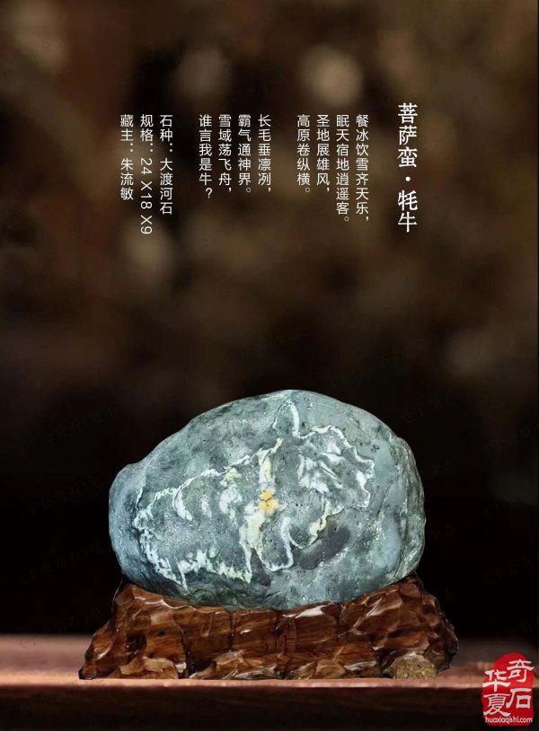 上《于公赏石》看女子会长朱流勄奇石作品