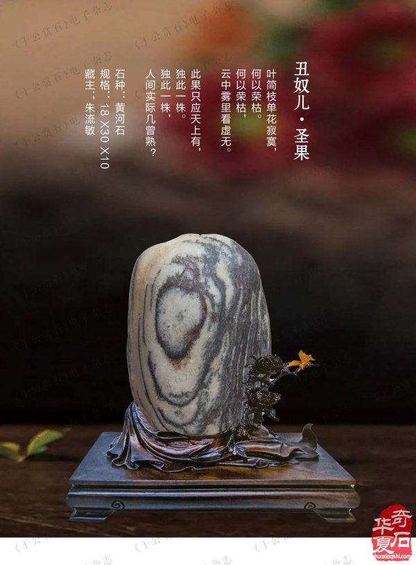 上《于公赏石》看女子会长朱流勄奇石作品