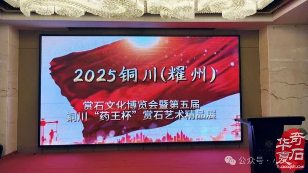 完整报道！——2025’首届铜川（耀州）赏石文化博览会暨“药王杯”赏石艺术精品展开幕仪式（附：精品展获奖作品选