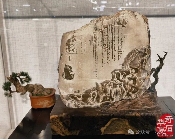 完整报道！——2025’首届铜川（耀州）赏石文化博览会暨“药王杯”赏石艺术精品展开幕仪式（附：精品展获奖作品选
