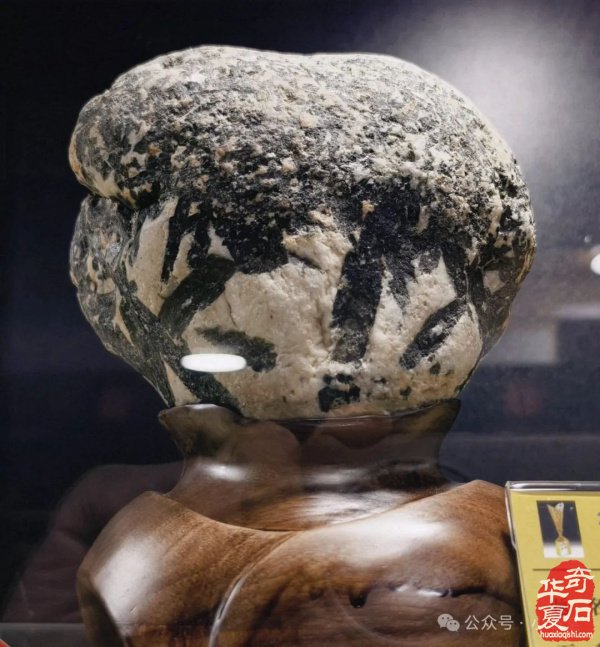 完整报道！——2025’首届铜川（耀州）赏石文化博览会暨“药王杯”赏石艺术精品展开幕仪式（附：精品展获奖作品选