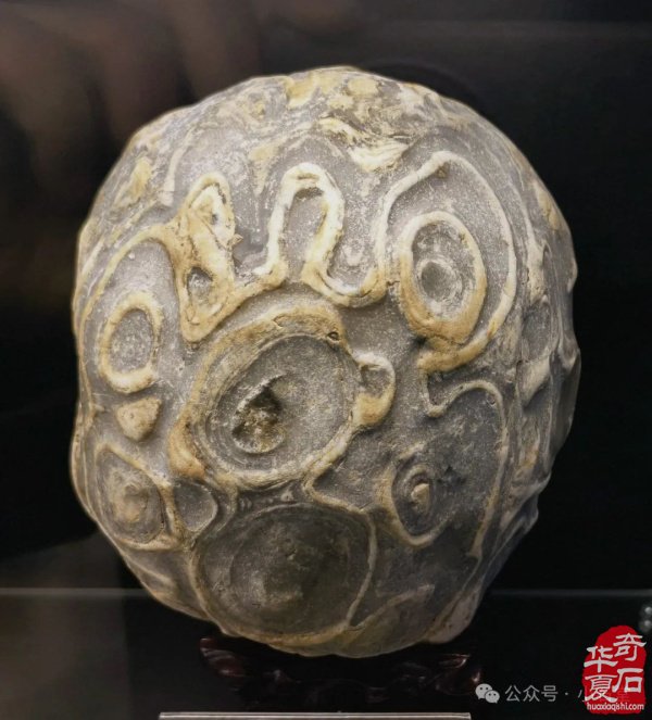 完整报道！——2025’首届铜川（耀州）赏石文化博览会暨“药王杯”赏石艺术精品展开幕仪式（附：精品展获奖作品选