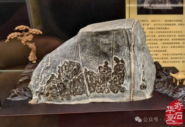完整报道！——2025’首届铜川（耀州）赏石文化博览会暨“药王杯”赏石艺术精品展开幕仪式（附：精品展获奖作品选