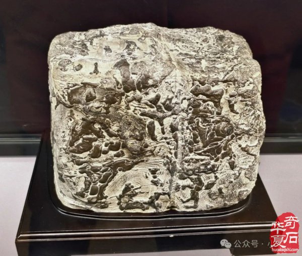 完整报道！——2025’首届铜川（耀州）赏石文化博览会暨“药王杯”赏石艺术精品展开幕仪式（附：精品展获奖作品选