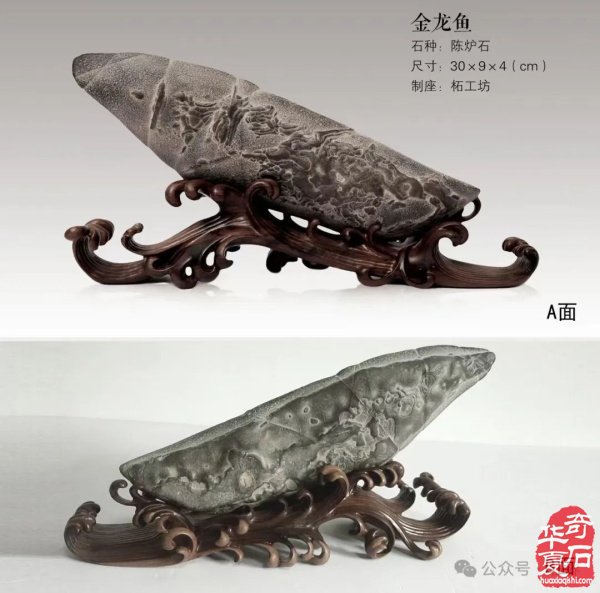 赏石盛宴来袭！东阳石展明日开幕，镜头带你抢先探展！