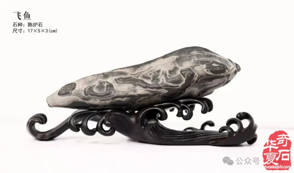 赏石盛宴来袭！东阳石展明日开幕，镜头带你抢先探展！