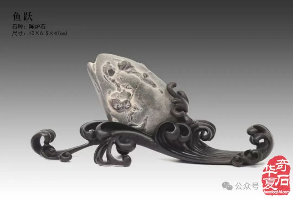 赏石盛宴来袭！东阳石展明日开幕，镜头带你抢先探展！