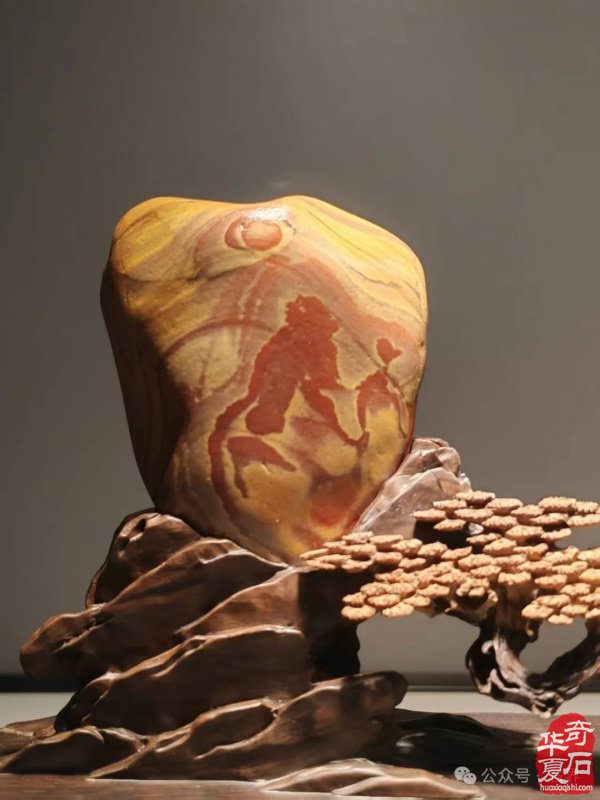 赏石盛宴来袭！东阳石展明日开幕，镜头带你抢先探展！