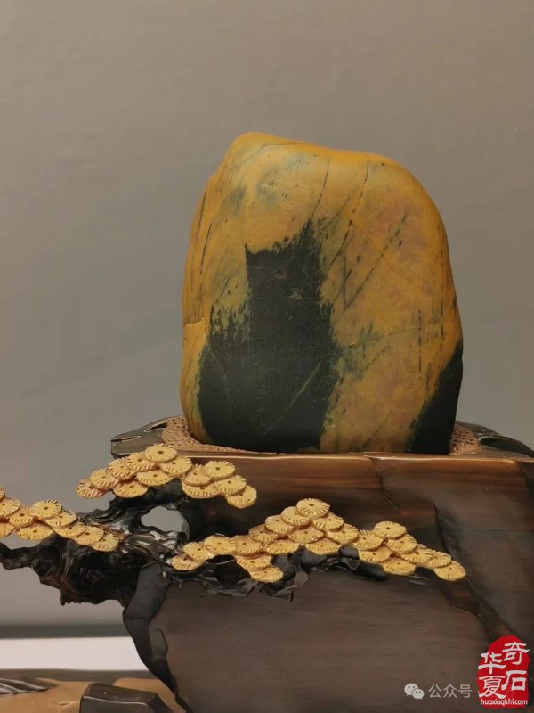 赏石盛宴来袭！东阳石展明日开幕，镜头带你抢先探展！