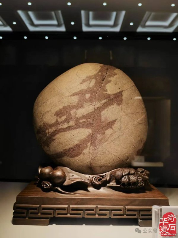赏石盛宴来袭！东阳石展明日开幕，镜头带你抢先探展！
