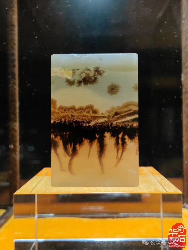赏石盛宴来袭！东阳石展明日开幕，镜头带你抢先探展！