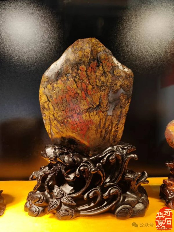 赏石盛宴来袭！东阳石展明日开幕，镜头带你抢先探展！