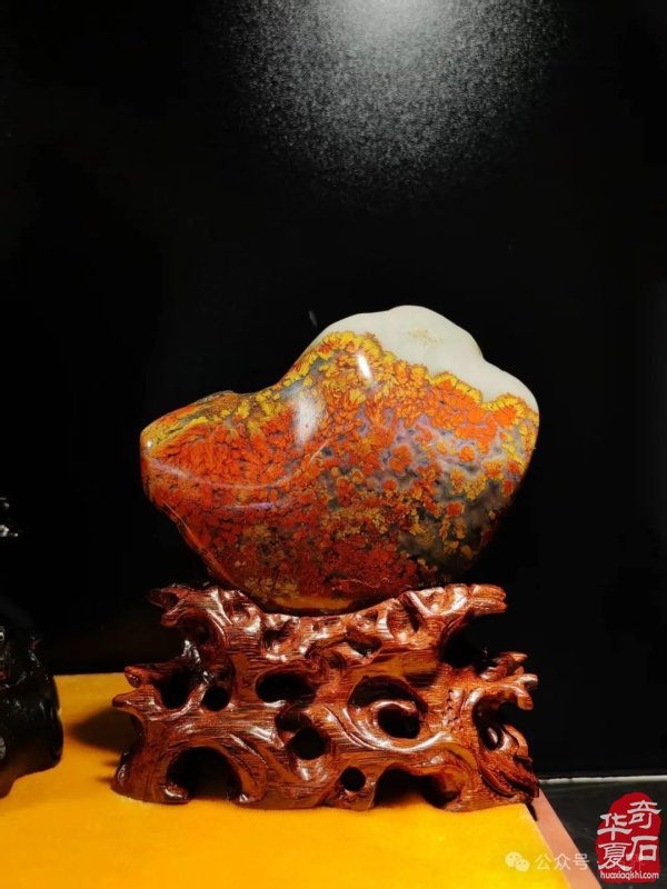 赏石盛宴来袭！东阳石展明日开幕，镜头带你抢先探展！