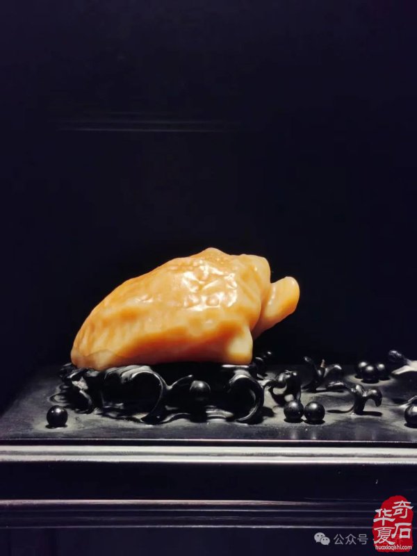 赏石盛宴来袭！东阳石展明日开幕，镜头带你抢先探展！