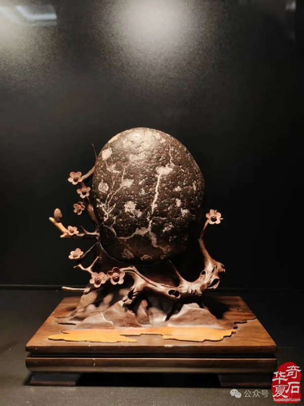 赏石盛宴来袭！东阳石展明日开幕，镜头带你抢先探展！