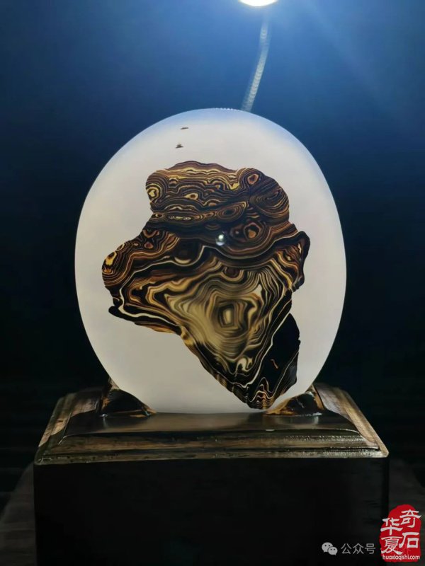赏石盛宴来袭！东阳石展明日开幕，镜头带你抢先探展！