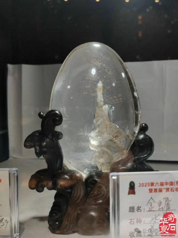 赏石盛宴来袭！东阳石展明日开幕，镜头带你抢先探展！