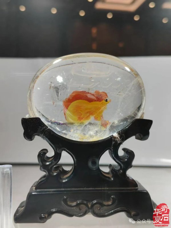 赏石盛宴来袭！东阳石展明日开幕，镜头带你抢先探展！