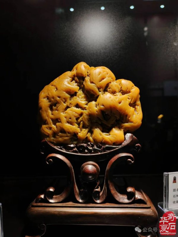 赏石盛宴来袭！东阳石展明日开幕，镜头带你抢先探展！