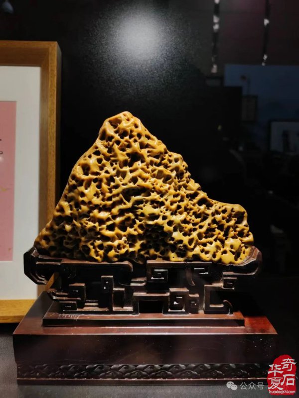 赏石盛宴来袭！东阳石展明日开幕，镜头带你抢先探展！