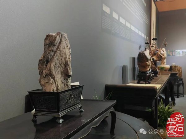 赏石盛宴来袭！东阳石展明日开幕，镜头带你抢先探展！