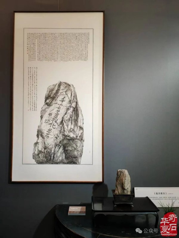 赏石盛宴来袭！东阳石展明日开幕，镜头带你抢先探展！