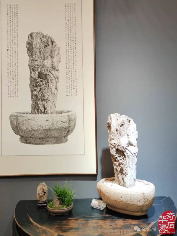 赏石盛宴来袭！东阳石展明日开幕，镜头带你抢先探展！
