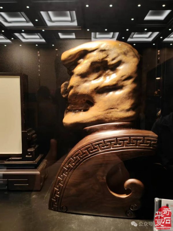 赏石盛宴来袭！东阳石展明日开幕，镜头带你抢先探展！