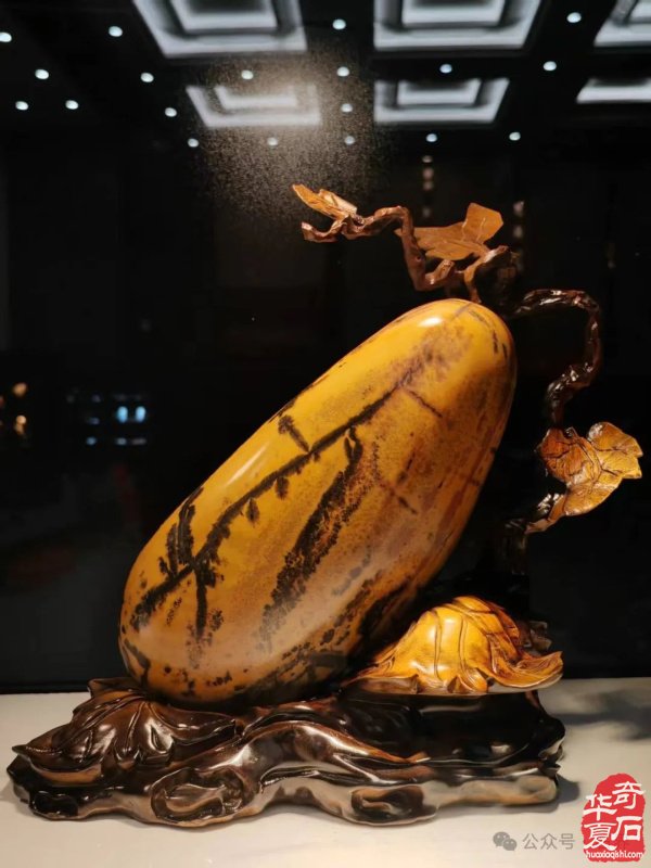 赏石盛宴来袭！东阳石展明日开幕，镜头带你抢先探展！