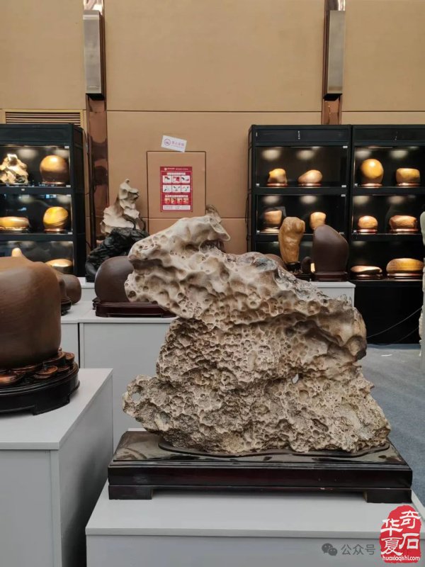 赏石盛宴来袭！东阳石展明日开幕，镜头带你抢先探展！