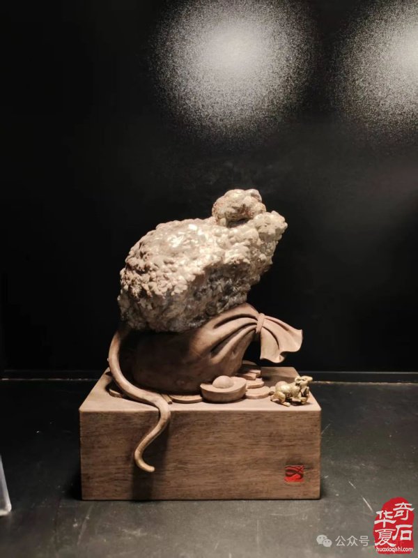 赏石盛宴来袭！东阳石展明日开幕，镜头带你抢先探展！