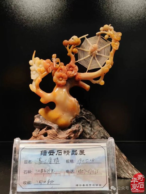 赏石盛宴来袭！东阳石展明日开幕，镜头带你抢先探展！