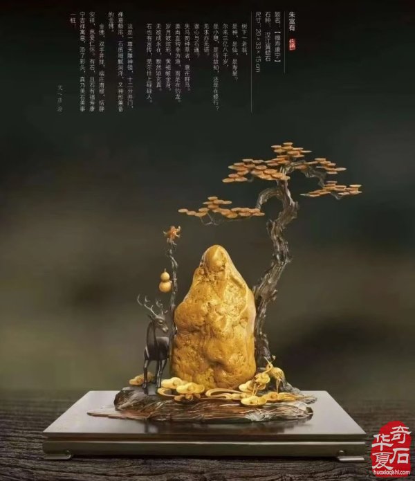 赏石盛宴来袭！东阳石展明日开幕，镜头带你抢先探展！