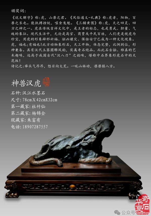赏石盛宴来袭！东阳石展明日开幕，镜头带你抢先探展！
