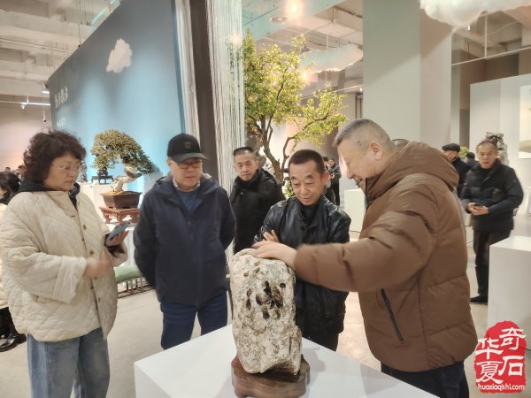 首届长三角赏石艺术联盟•中国环太湖艺术城联展盛大开幕