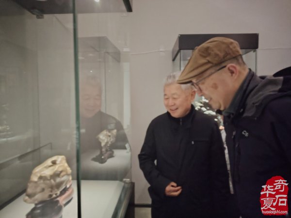 首届长三角赏石艺术联盟•中国环太湖艺术城联展盛大开幕
