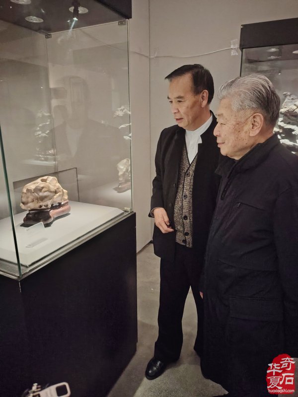 首届长三角赏石艺术联盟•中国环太湖艺术城联展盛大开幕