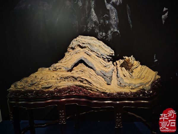 首届长三角赏石艺术联盟•中国环太湖艺术城联展盛大开幕