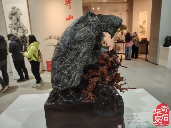 首届长三角赏石艺术联盟•中国环太湖艺术城联展盛大开幕