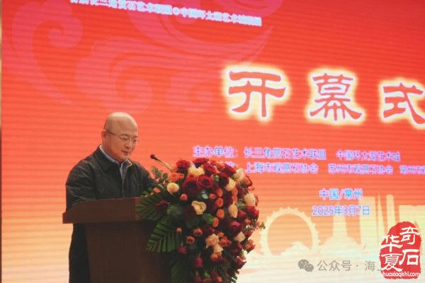 首届长三角赏石艺术联盟•中国环太湖艺术城联展盛大开幕
