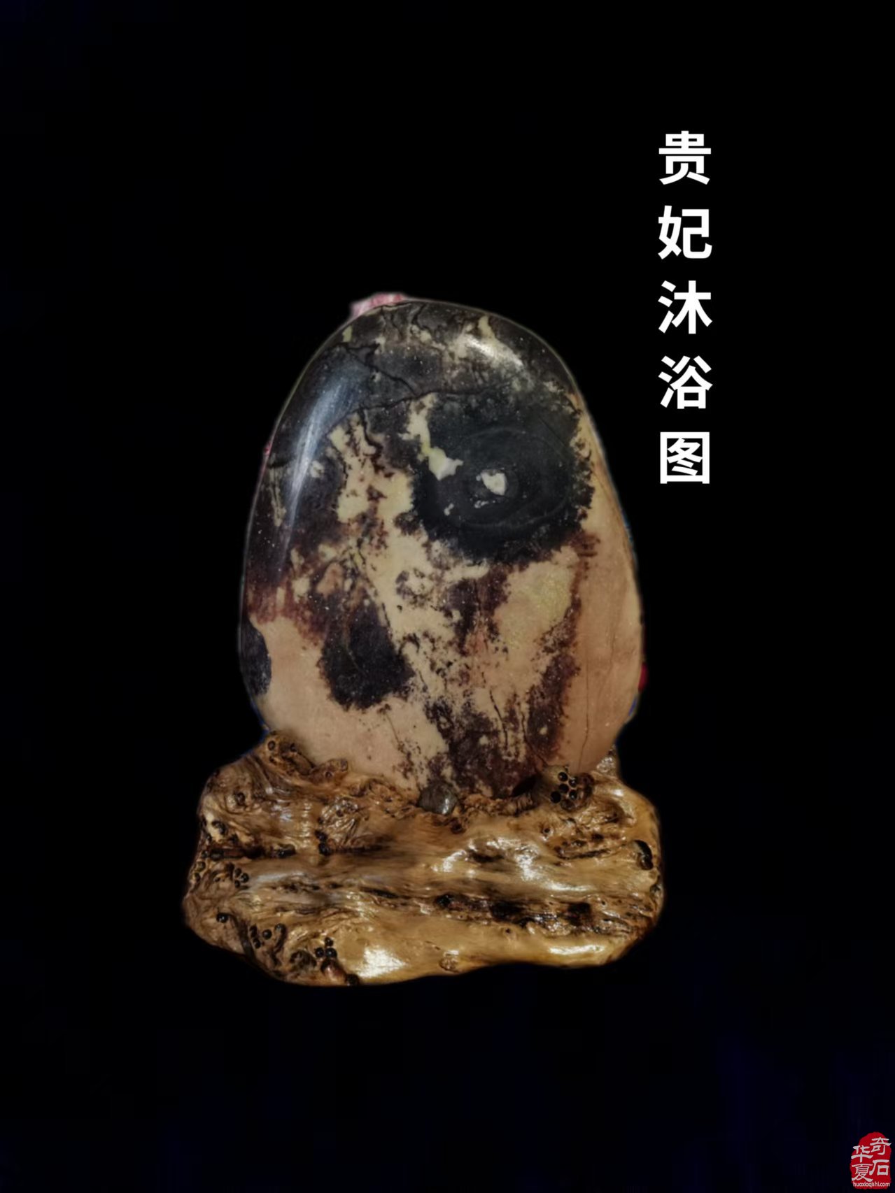 青田石代表团前往洛阳参加4月1日洛阳一年一度的石展