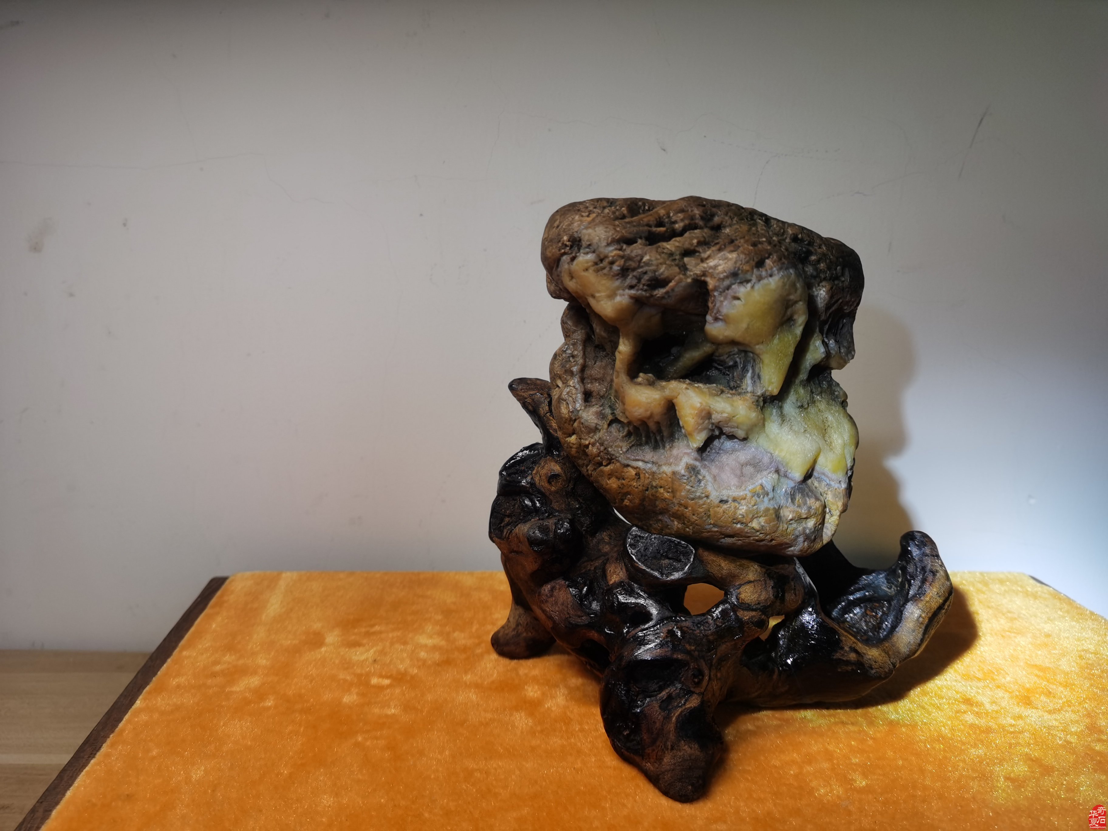 青田石代表团前往洛阳参加4月1日洛阳一年一度的石展