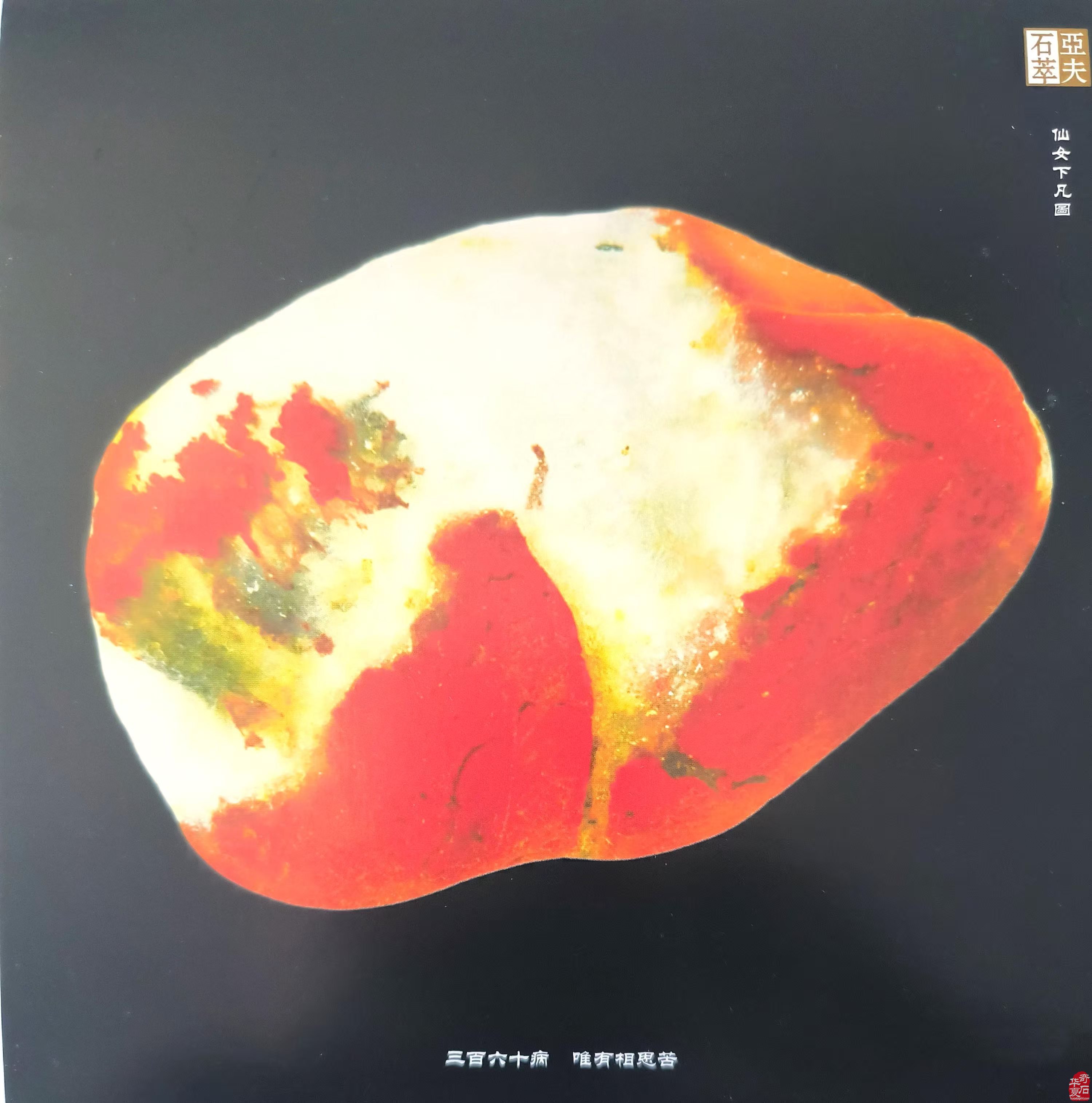 恋石情深传四海
